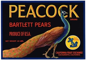 ETIQUETA DE CAJA GENUINA DE COLECCIÓN PAVO REAL SACRAMENTO AÑOS 50 PERA 46 LIBRAS PÁJARO ORGULLOSO - Imagen 1 de 1