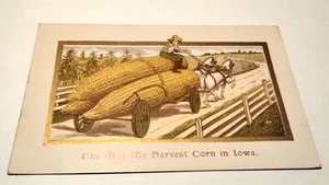 Antique Postcard Circa 1910s The Way we Harvest Corn in Iowa Horses Corn - Picture 1 of 4