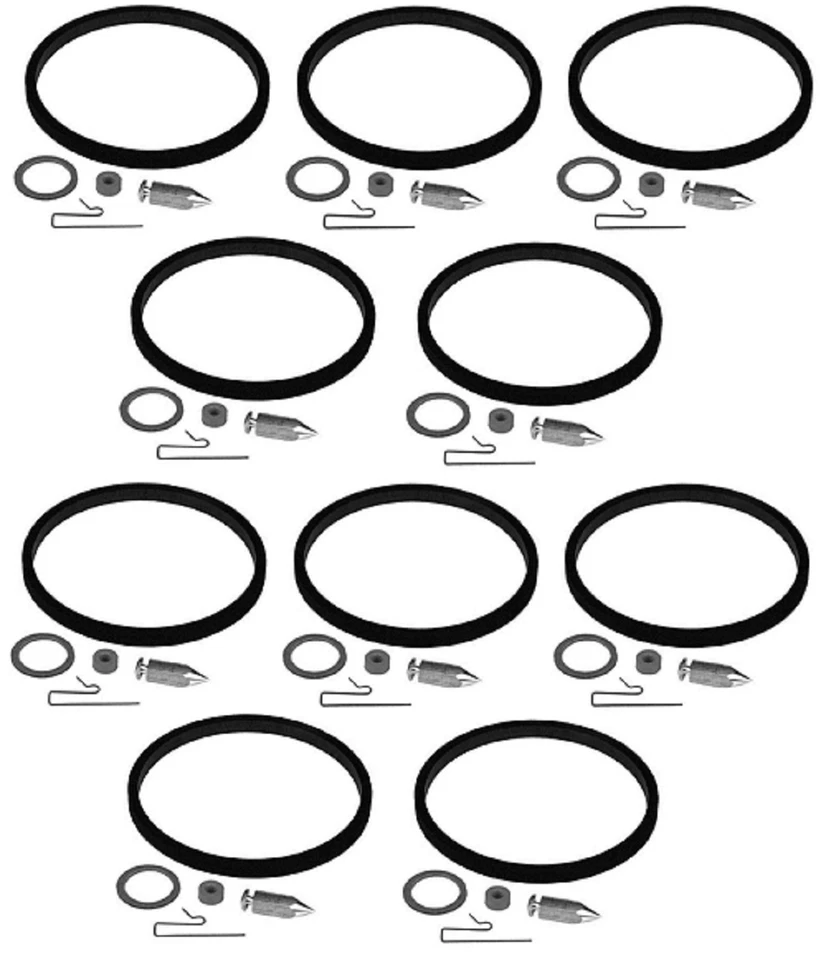 KIT DE AGUJA DE ENTRADA Y VÁLVULA DE ASIENTO 10 REP TECUMSEH 631021A 631021B 631021 V40 V50 V60 Foto 1 de 1