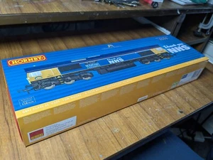 Hornby GBRf Class 66 'CAPT. TOM MOORE' 66731 Thank you NHS - NEW - R30069 - Picture 1 of 5