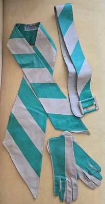 De Colección Pierre Dalbe Beige Verde Niño Cuero 9" Largo Guantes Cinturón Corbata Conjunto Talla 7 Francia Foto 1 de 4