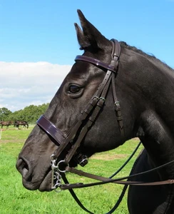 FSS Patent GLOSS Comfort Poll Show WORKER HUNTER Hunt FLAT 4cm Caveson Bridle - Picture 1 of 3