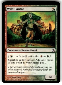 Wild Cantor Guildpact Regular mtg - Picture 1 of 2