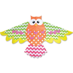 Kite Rainbow Owl Image Single Line Kite 14.50-   PR 44942 - Picture 1 of 1
