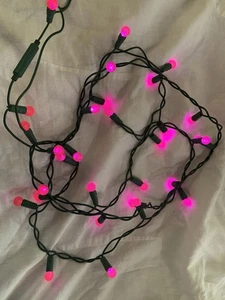 Pink Berry String Lights 6 Feet - Picture 1 of 2