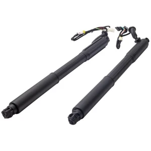Tailgate Gas Spring For BMW X5 E70 2007-2013 51247332695 51247332696 Set of 2 - Picture 1 of 12