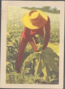 Jacques - Our Congo - 164 - Basoko - Picture 1 of 1