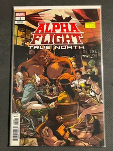 Alpha Flight: True North #1 variante Ramon Perez (2019) Marvel Comics ottime condizioni/nm - Foto 1 di 1