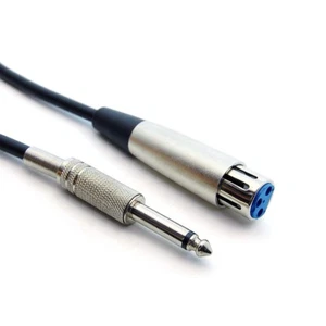 10ft XLR Female to 1/4 inch Mono Male Audio Cable 10XR-01510 - Picture 1 of 1