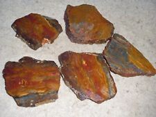 5 small Multi Colored Jasper rock slabs - reds, yelllow, orange several patterns
