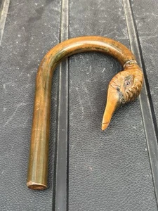 Holz Schirm Griff Antik Viktorianisch Ente Glasaugen Schöne Kurioses 2r - Bild 1 von 5