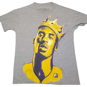 Camiseta gris The Forest Lab Kobe Bryant LA Lakers talla pequeña baloncesto callejero - Imagen 1 de 7