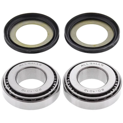 22-1032 KIT STERZO CUSCINETTI E PARAPOLVERE ALL BALLS CAGIVA 650 Raptor 2003 — 第 1/2 张图片