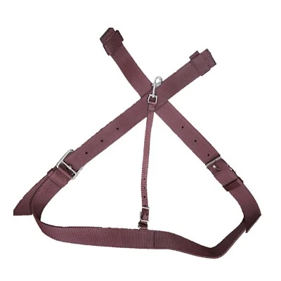 全新 Western Saddle 棕色替换后英寸 带侧翼 2 英寸肩带组合套装 — 第 1/3 张图片