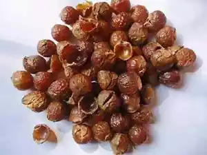 Bio Aritha ganze Seife Nüsse Naturhaarwäsche & Konditoner Indisches Kraut 100Gms - Bild 1 von 3