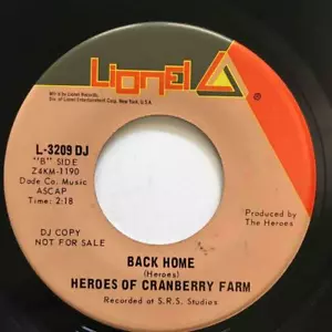 HEROES OF CRANBERRY FARM Children Save The World / Back Home LIONEL DJ PROMO - Picture 1 of 1
