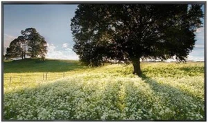LG 84WS70MS-B 84" 4K Ultra HD LED LCD Digital Signage Display - Picture 1 of 4