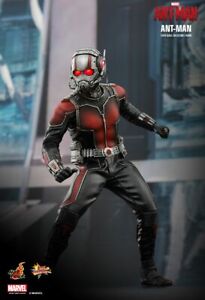 HOT TOYS 1/6 MARVEL ANT-MAN MMS308 ANT-MAN SCOTT LANG MOVIE ACTION FIGURE