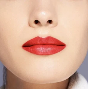 Lápiz labial gel Shiseido VisionAiry ~ petardo #219 ~ 1,6 g/,05 oz ¡Nuevo en caja sellado! - Imagen 1 de 8