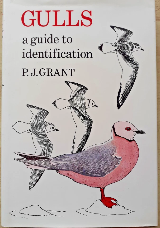 Gulls, a guide to Identification - P J Grant 1982 Poyser Hardcover VGC - Image 1 of 1
