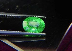 Beautiful stunning 2.02ct kENYA Green Tsavorite Garne oval 100%Natural Gemstone - Picture 1 of 2