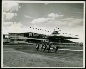 VINTAGE PHOTO / HORSE RACE TRACK EL COMANDANTE / PUERTO RICO 1950's-60s - Picture 1 of 1