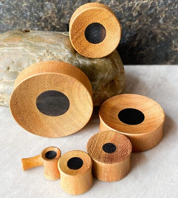 PAIR Concave Jackfruit Wood w/ Areng Wood Center Plugs Gauges Earlets - Image 1 of 4