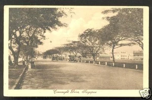 Singapore Connaught Drive Cars Trees Esplanade 1920s - Picture 1 of 1