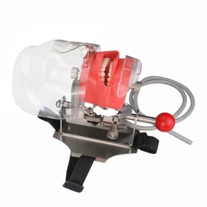 Dental Manual Manikin Simulator Phantom Head Model for Dental Chair Headrest USA - Picture 1 of 12