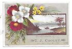 T. J. COOLEY GRAND OPENING VICTORIAN TRADE CARD-WESTFIELD, MASS.