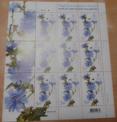 UKRAINE block stamp sheet Medicinal and honey plants Chicory wild flora 2017 - Image 1 of 3
