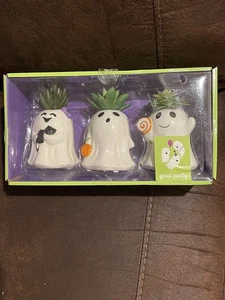 Geisterparty 3er Set Geister Faux Sukkulenten Halloween Katze Kürbis und Lutscher - Bild 1 von 7