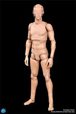 1/6 DID OA60002 Male Standard Muscle Man Body 12" Action Figures Model Doll