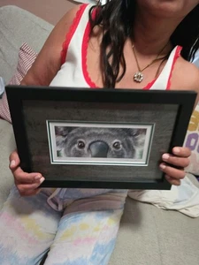 Australian Koala Eyes Without A Face EWAF by Jason Edmiston Framed Art Print - Picture 1 of 3