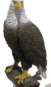American Bald Eagle Decor Piece Learning Specimen 7" Collectible National Bird - Picture 1 of 3