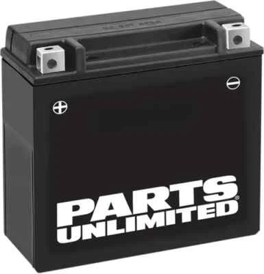 Batería AGM Parts Unlimited YTX20H-BS Arctic Cat ZRT 600 97-02 Foto 1 de 4