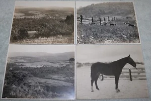 SELTEN 1927 4 FOTOS ROLLENDER FELSENJAGDVEREIN PA VOLLE CLUBHUNDE PFERD & BODEN - Bild 1 von 5