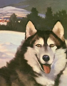 SIBERIAN HUSKY SLED DOG VINTAGE 1950'S WESLEY DENNIS DOG ART PRINT - Picture 1 of 1