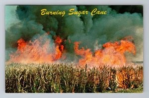 Postal de colección Hi-Hawaii, caña de azúcar ardiendo el día antes de su cosecha - Imagen 1 de 2