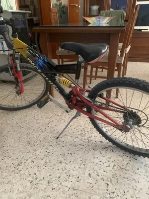 Mountain Bike 24 pollici - Immagine 1 di 4