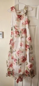 Floral Print Sleeveless Dress for Women Sheer Floral Lace Dresses for Ladies L - Picture 1 of 12