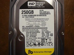 Western Digital WD2503ABYX-01WERA1 DCM:HHRCHVJCH 250gb 3.5" Sata HDD - Picture 1 of 1