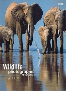 Wildlife Photographer of the Year: Portfolio 12 By Harry Ricketts - Picture 1 of 1