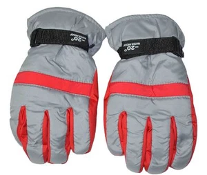 Silver Age Women's Cold Weather Waterproof Gloves Gray Red - Picture 1 of 1