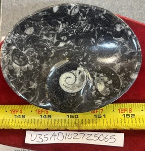 Handgeschnitzter Ammonit Orthoceras Fossil Stein Schale Schmuck Tablett Schmuckstück 4” x 5,5” - Bild 1 von 1