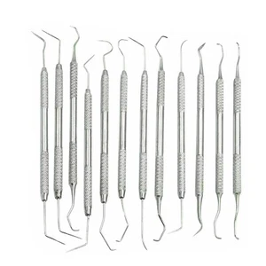 12 Piece Dental Probe Pick Tool Instrument Set Stainless Steel Scaler PR-296 - Picture 1 of 3