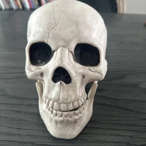 Plastic Skull - Picture 1 of 4
