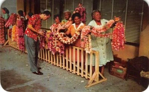 LEI SELLERS Honolulu, Hawaii Orchids ca 1950s Chrome Vintage Postcard - Picture 1 of 2