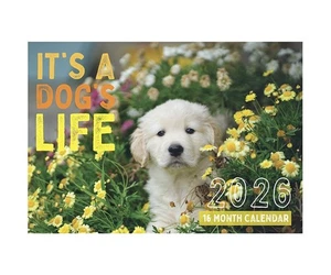 2026 Calendar It's A Dog's Life 16-Month Horizontal Wall, Design Group CAL26033 - Picture 1 of 1
