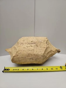 Biberstamm beide Enden gekaut 6" Durchmesser mal 12" lang, Biberkunst kostenloser Versand - Bild 1 von 13